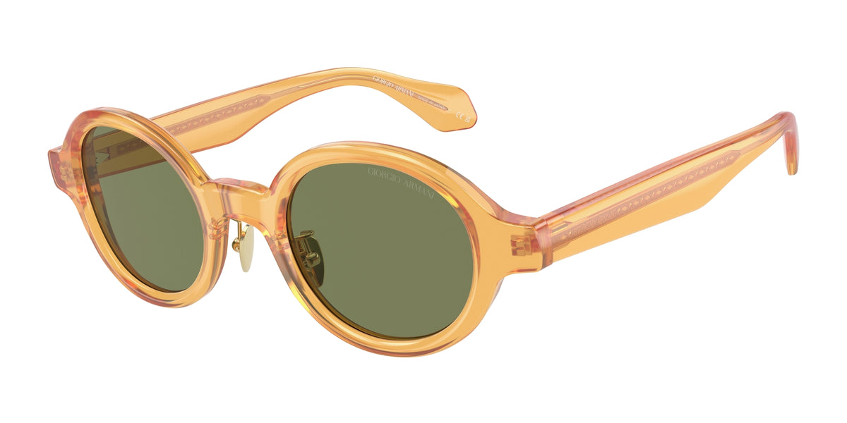 Giorgio Armani AR8205 60632A Occhiali da sole Giorgio Armani 1