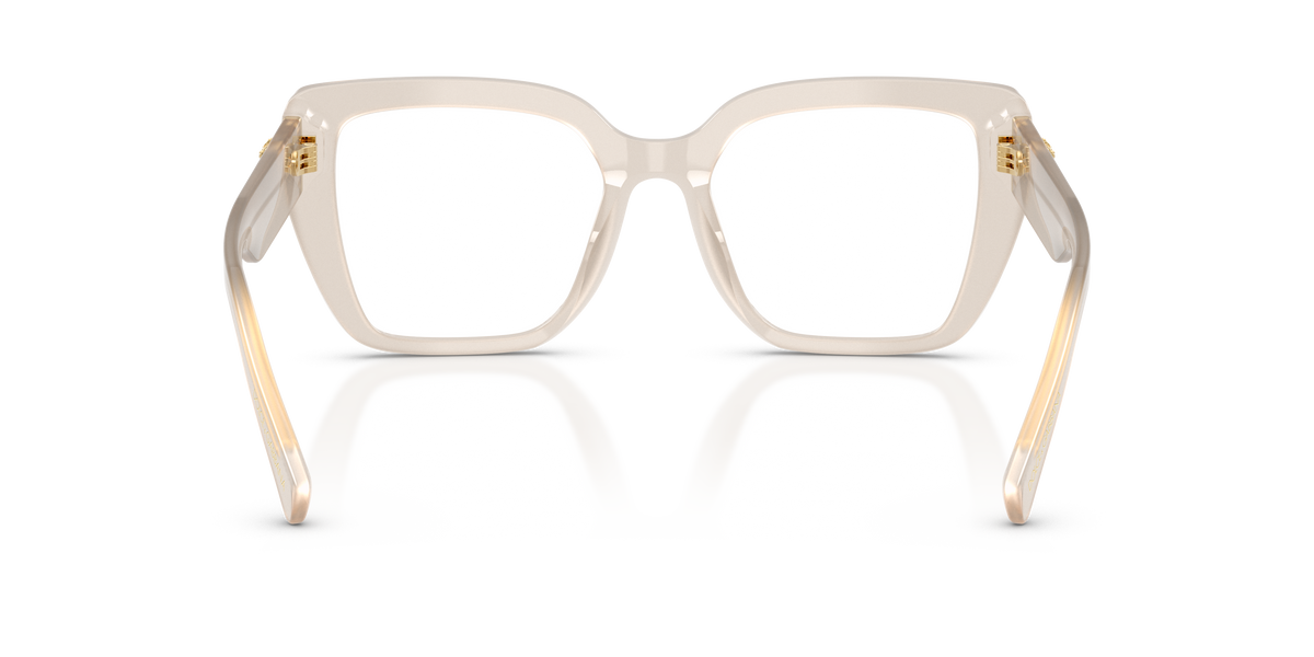 Dolce & Gabbana DG34413420