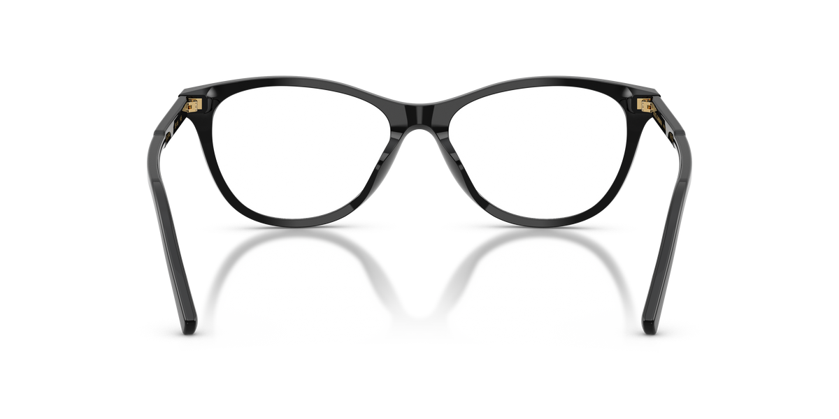 Dolce & Gabbana DG3443 501