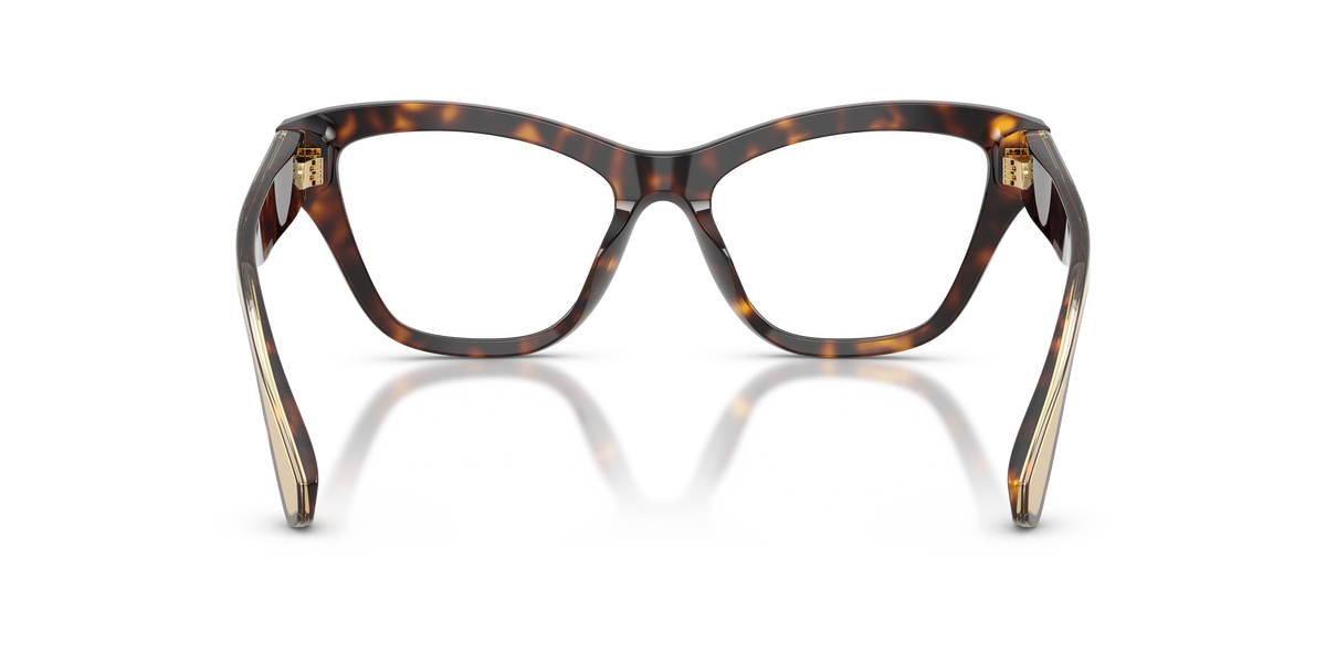 Dolce & Gabbana DG3448 502