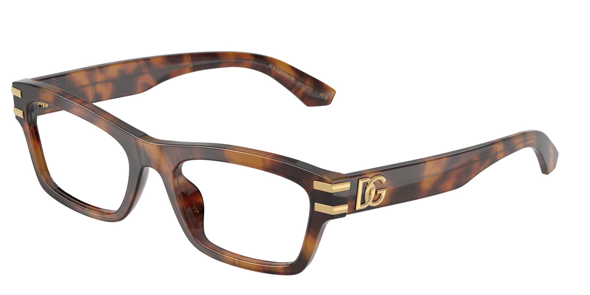 Dolce & Gabbana DG3454 3497