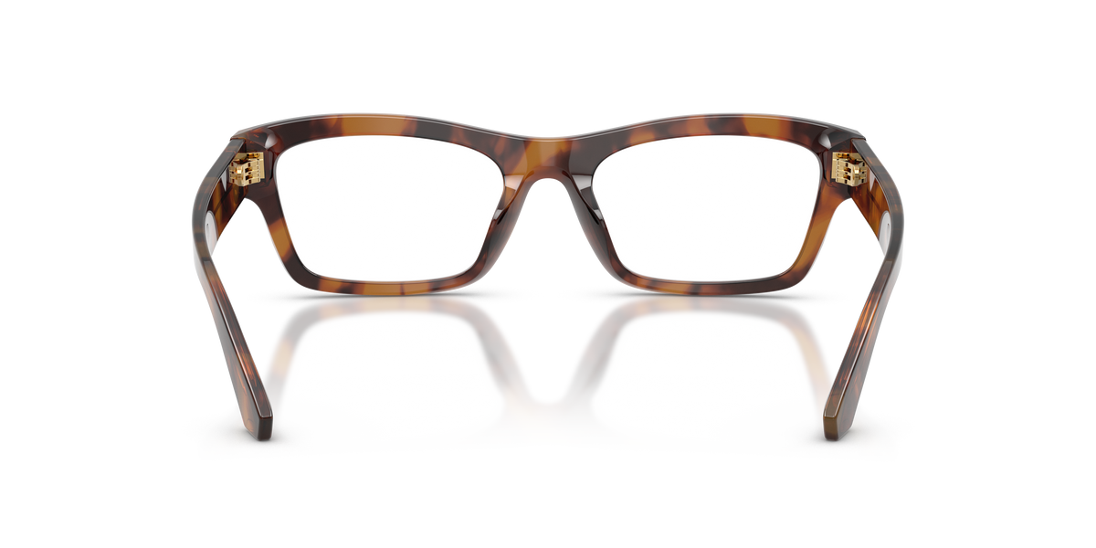 Dolce & Gabbana DG3454 3497