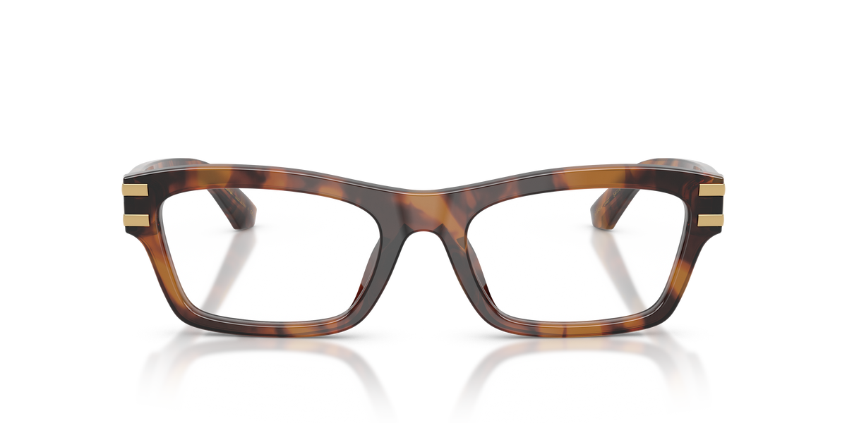 Dolce & Gabbana DG3454 3497