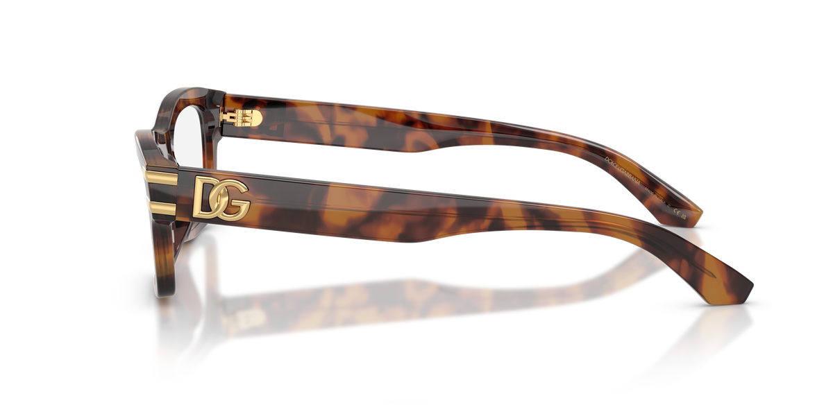 Dolce & Gabbana DG3454 3497