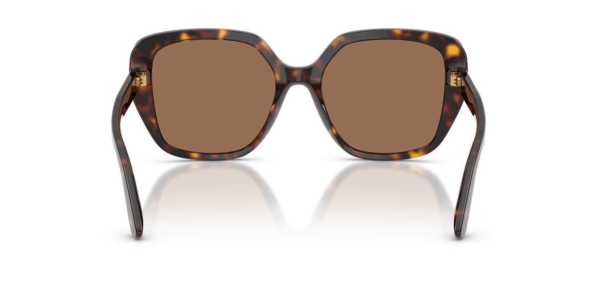 Dolce & Gabbana DG4569 502/73