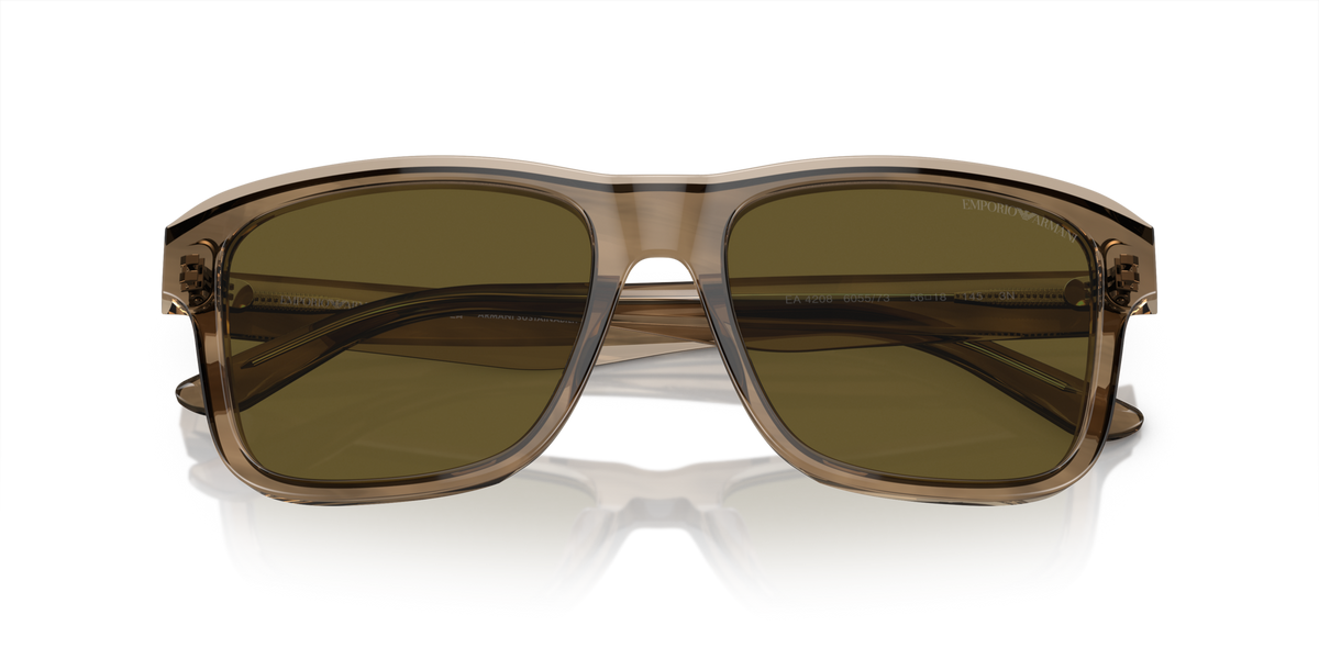 Emporio Armani EA4208 605573 Occhiali da sole Emporio Armani 2