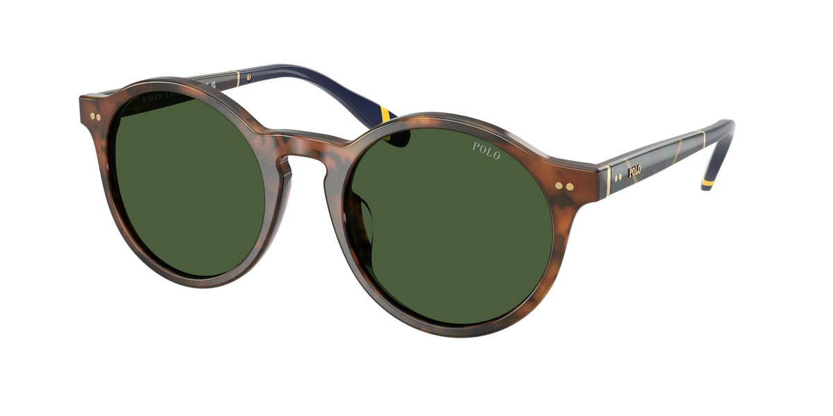 Polo Ralph Lauren PH4204U 562571 Occhiali da sole Polo Ralph Lauren 1