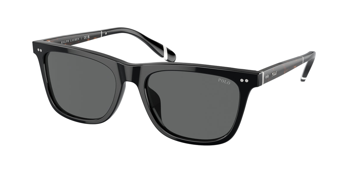 Polo Ralph Lauren PH4205U 500187 Occhiali da sole Polo Ralph Lauren 1
