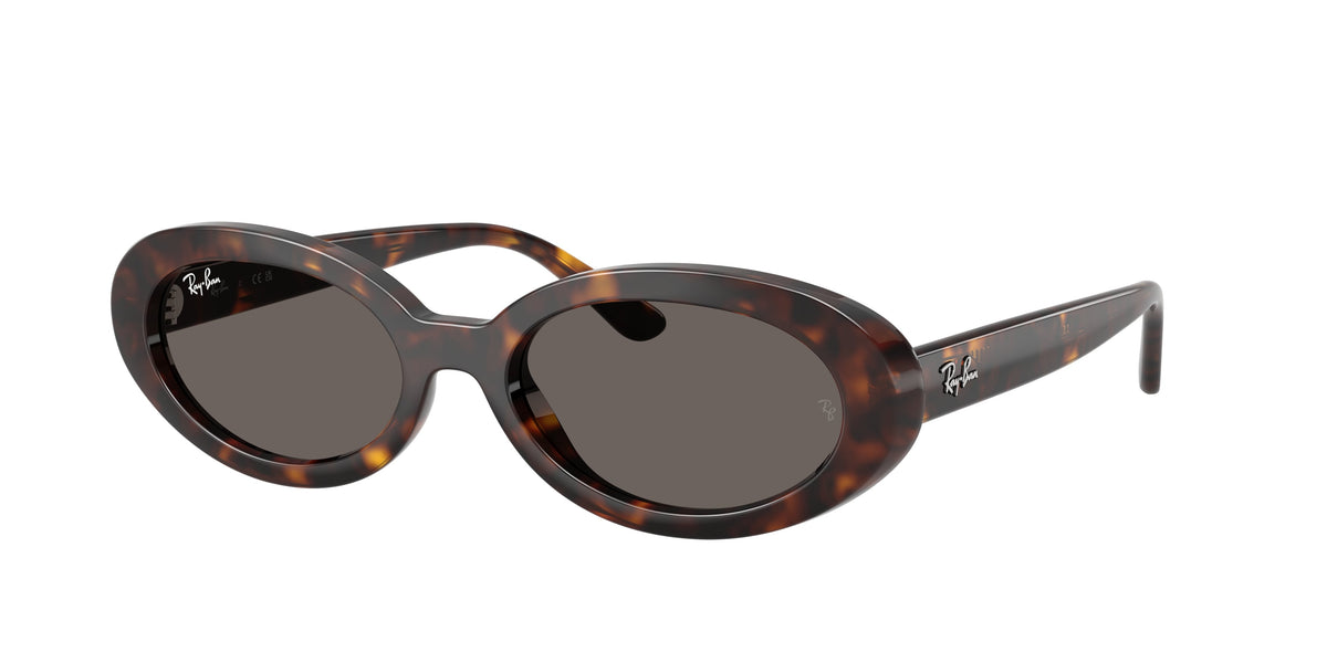 Ray - Ban RB2223 902/B1