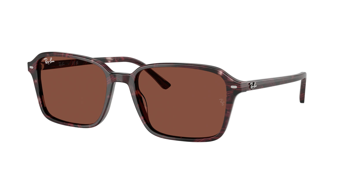 Ray - Ban RB2231 RAIMOND 1416C5 Occhiali da sole Ray - Ban 1