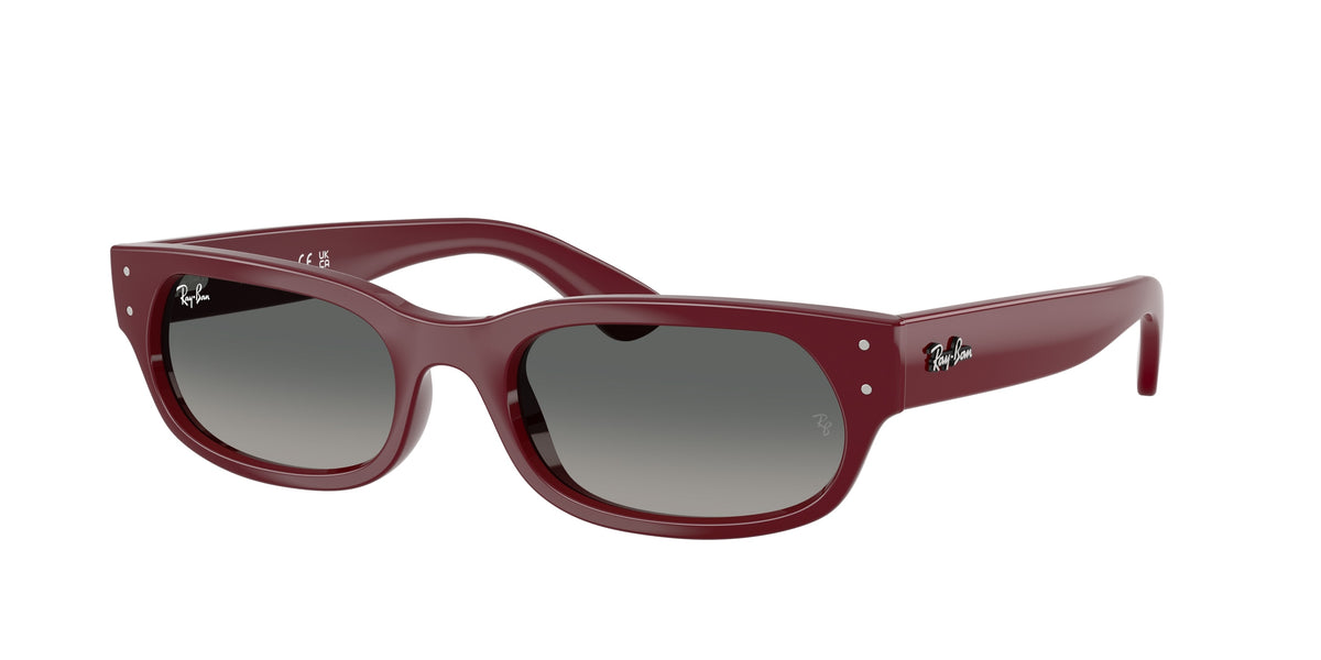 Ray - Ban RB2236 689971