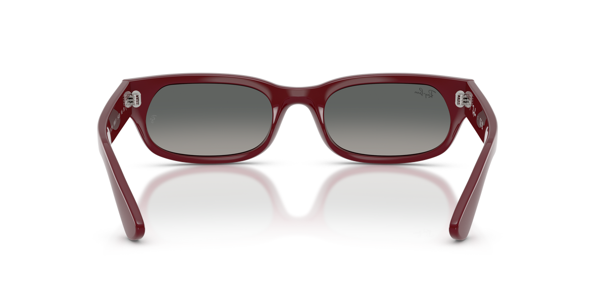 Ray - Ban RB2236 689971