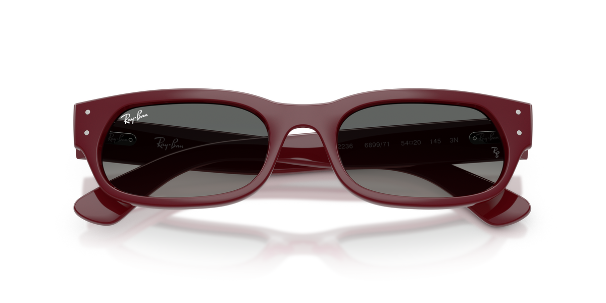 Ray - Ban RB2236 689971