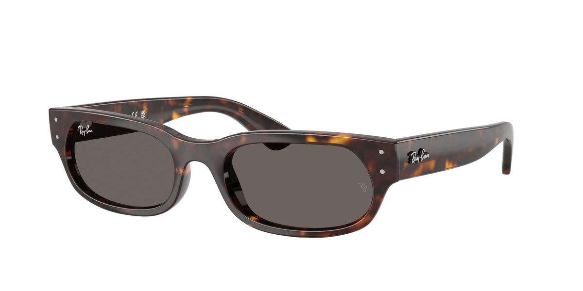 Ray - Ban RB2236 902/B1