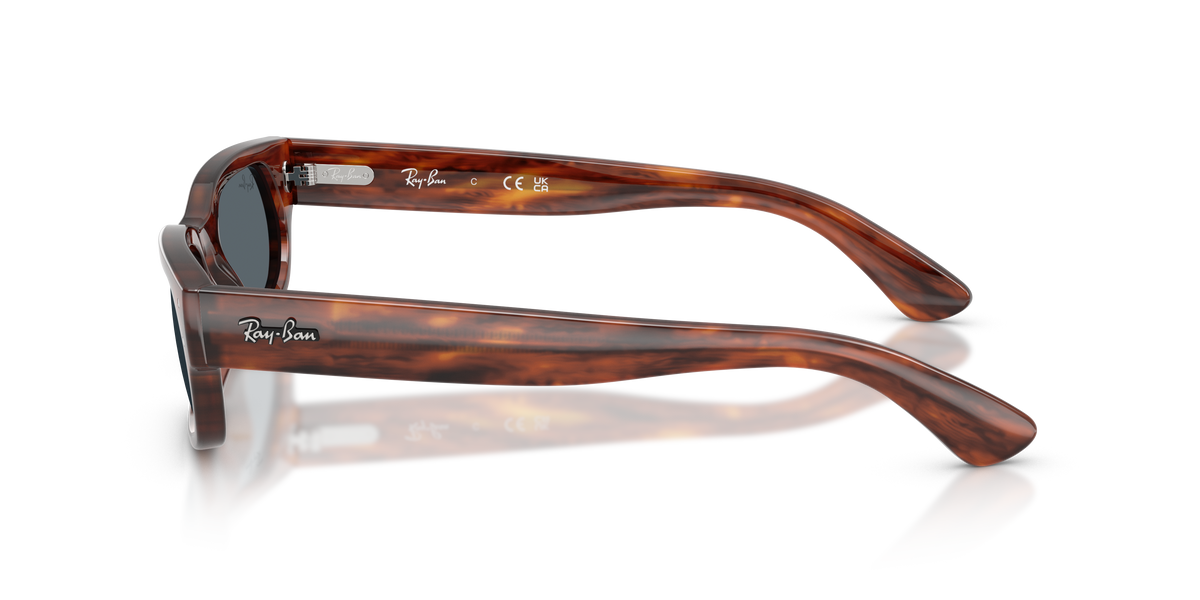Ray - Ban RB2236 954/R5