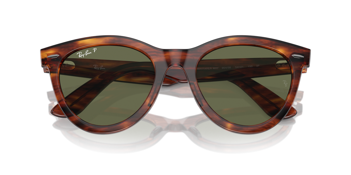 Ray - Ban RB2241 WAYFARER WAY 954/58 Occhiali da sole Ray - Ban 2