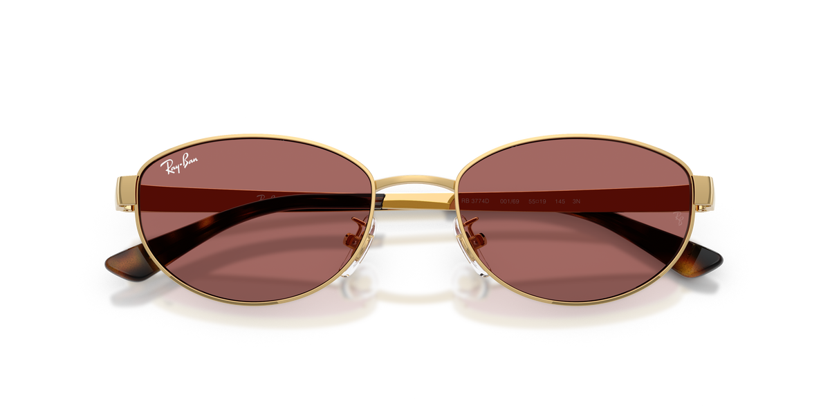 Ray - Ban RB3774D 001/69