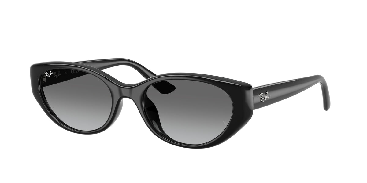 Ray - Ban RB4457D 667711 Occhiali da sole Ray - Ban 1