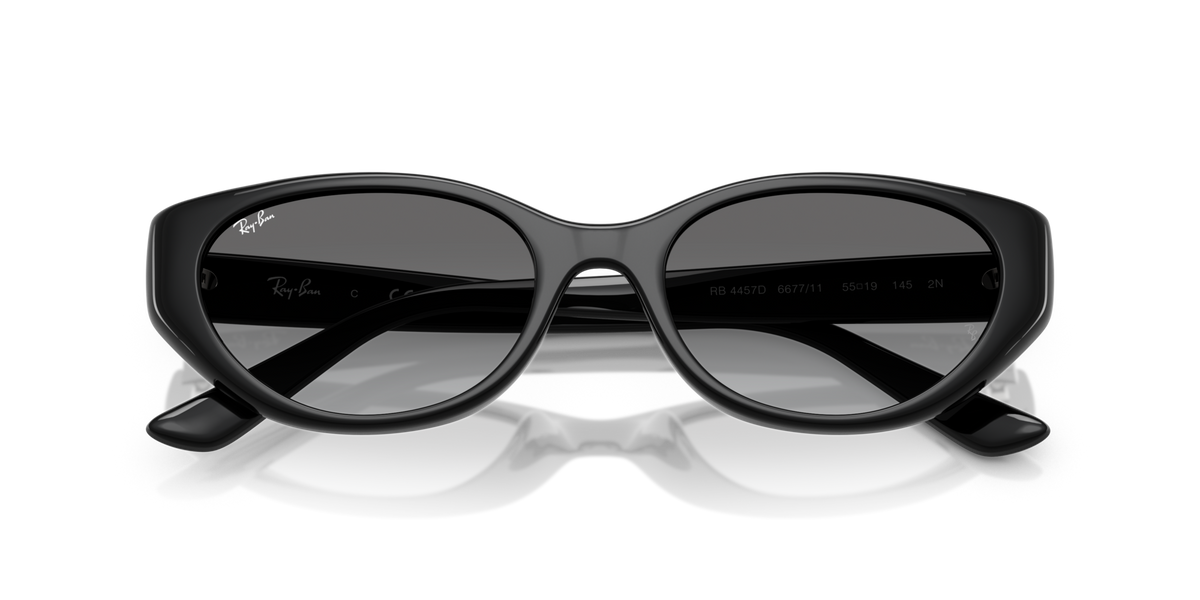 Ray - Ban RB4457D 667711 Occhiali da sole Ray - Ban 2