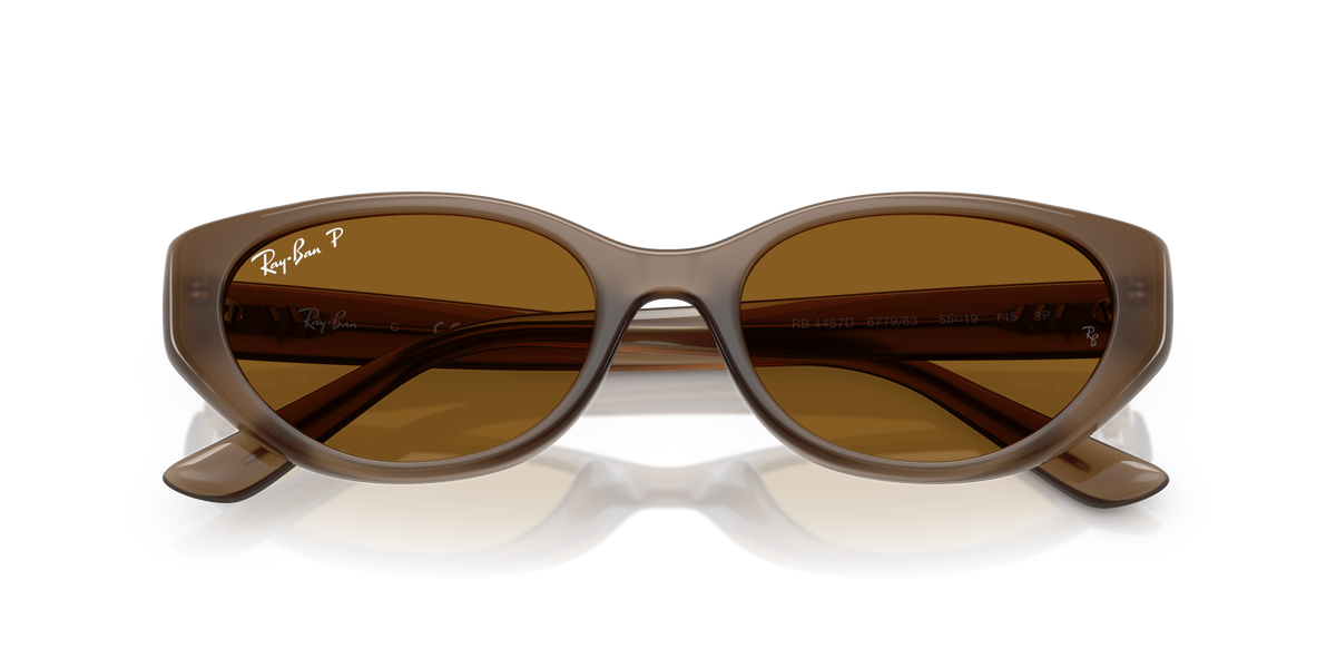 Ray - Ban RB4457D 677983