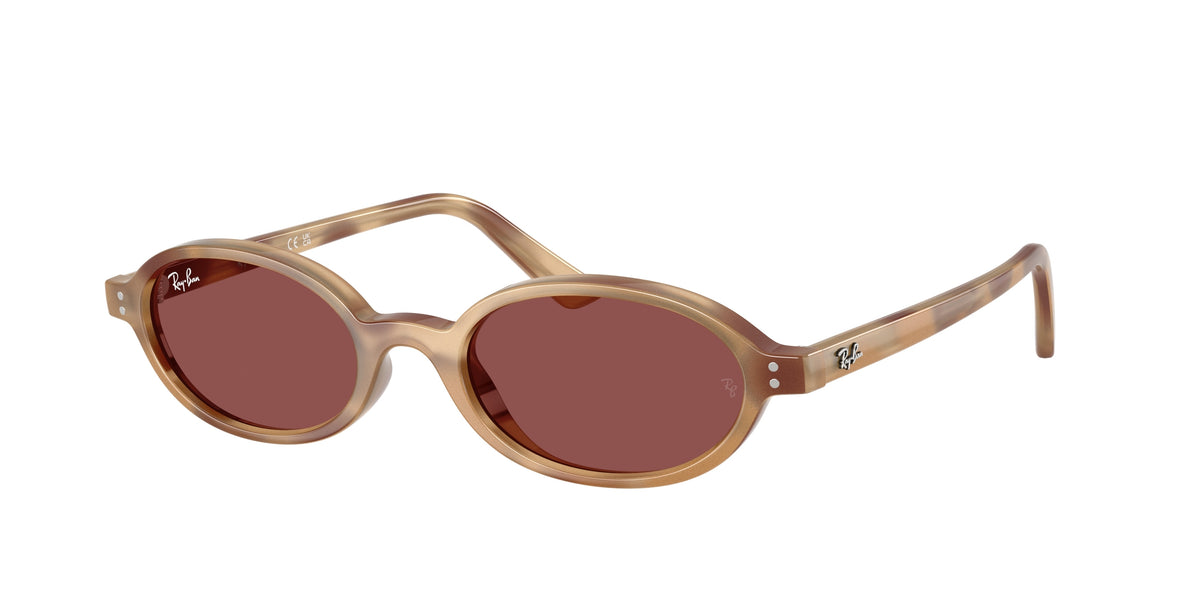 Ray - Ban RB4472 685675