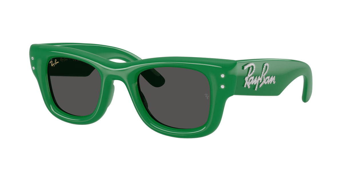 Ray - Ban Sluneční brýle A$AP Rocky RB4940B WAYFARER PUFFER 685987 Ray - Ban 1