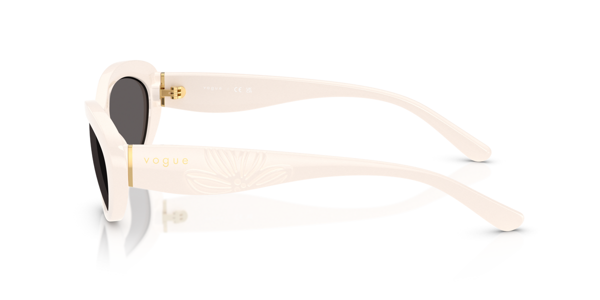 VOGUE EYEWEAR VO5630S 312487 Occhiali da sole VOGUE EYEWEAR 4