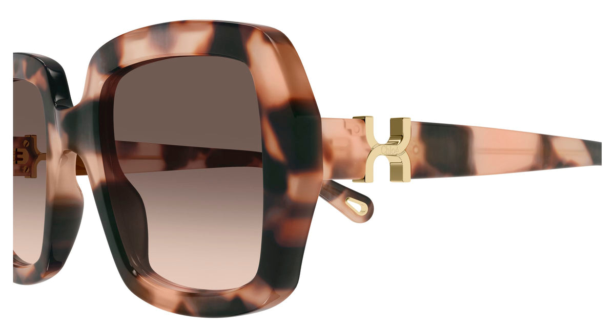Chloé CH0301S 006