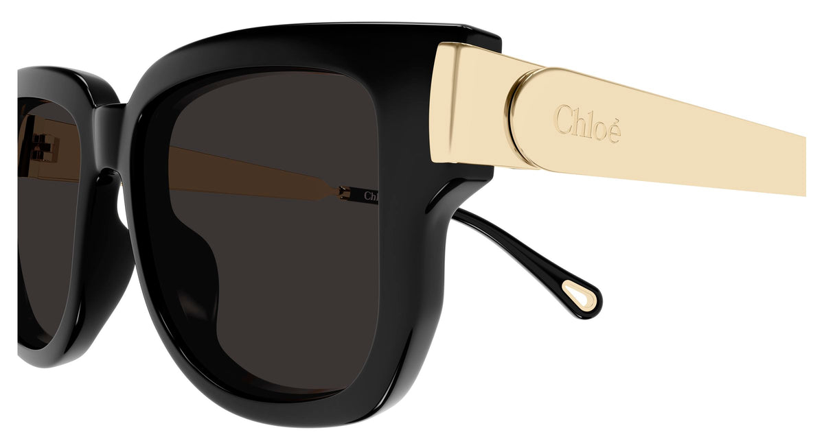Chloé CH0351S 001