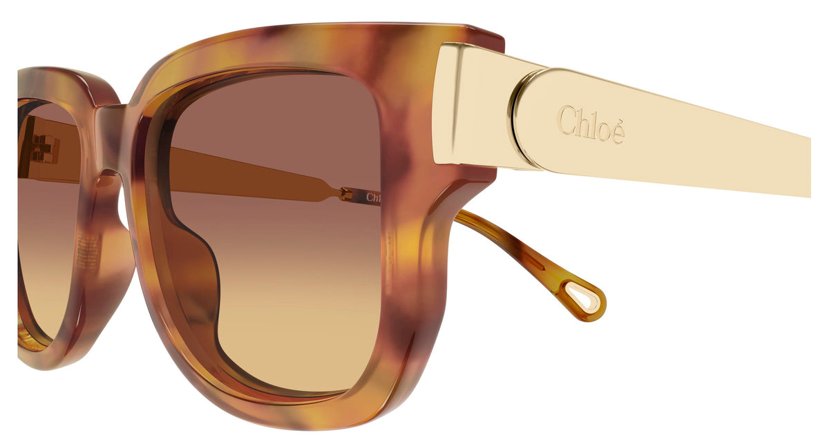 Chloé CH0351S 002