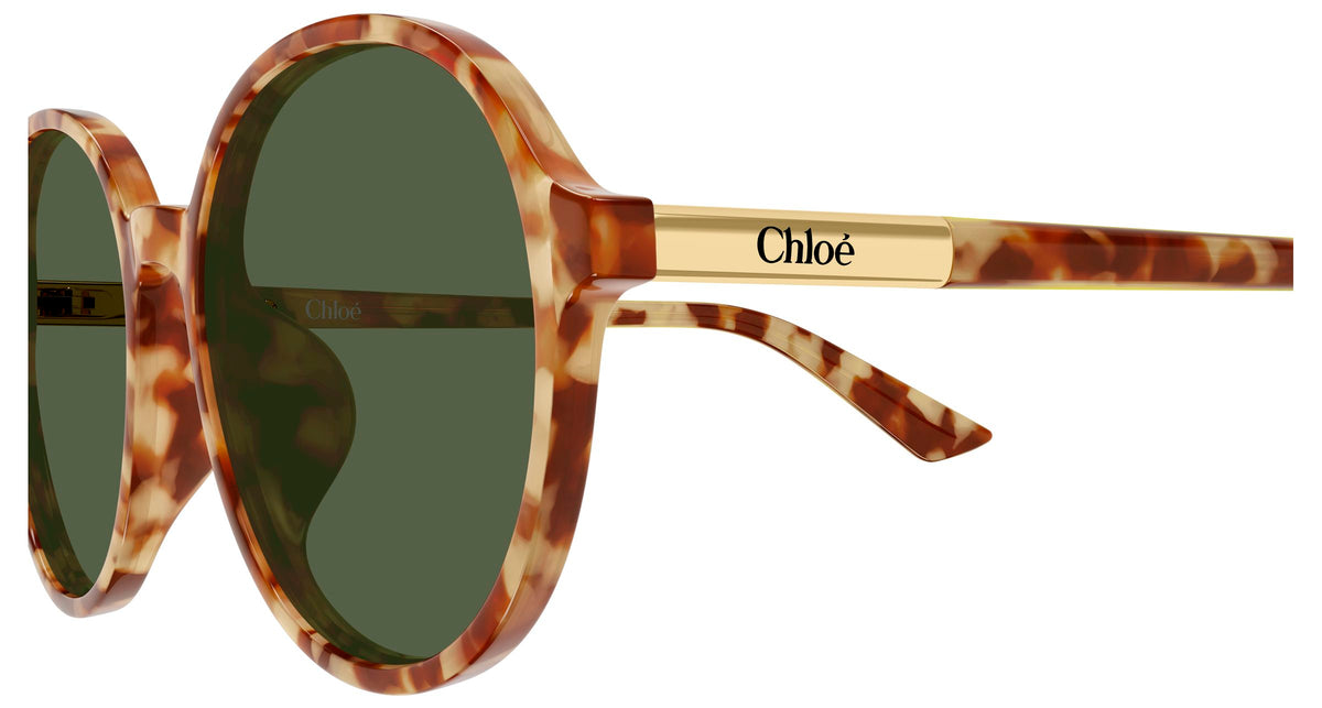 Chloé CH0365SK 004
