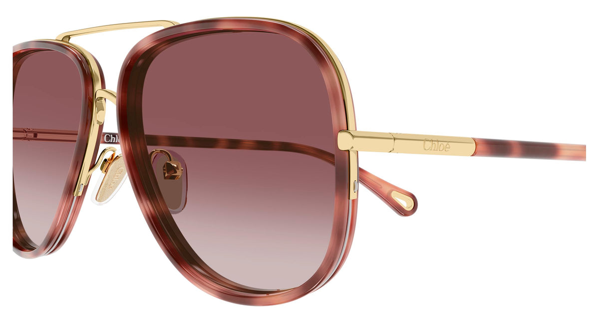 Chloé CH0382S 004