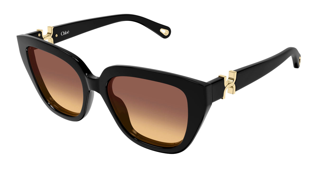 Chloé CH0410S 001