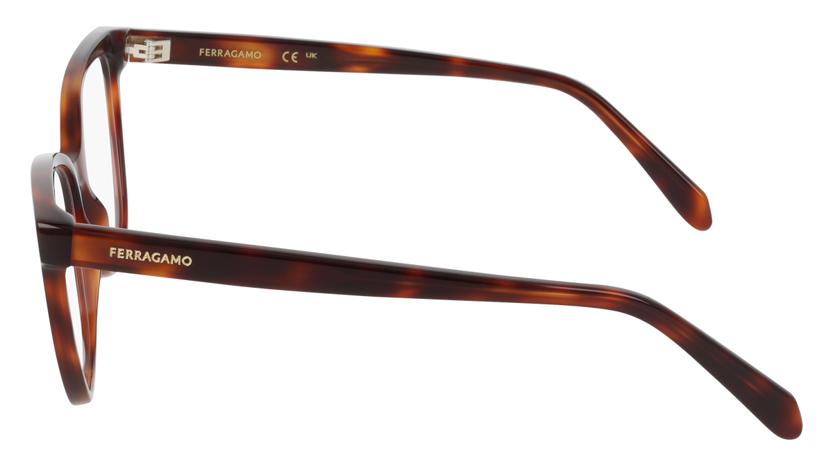 Ferragamo SF3062 240