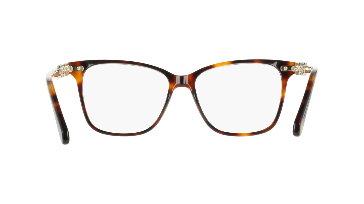 Ferragamo SF3064 240