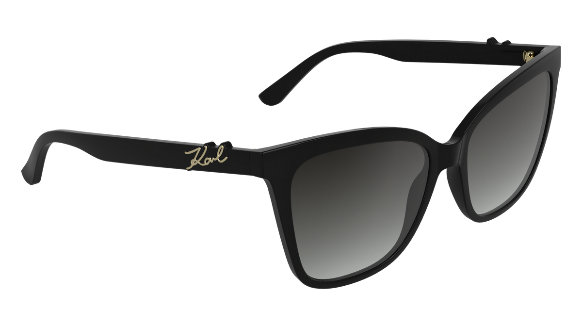 Karl Lagerfeld KL6223S 001