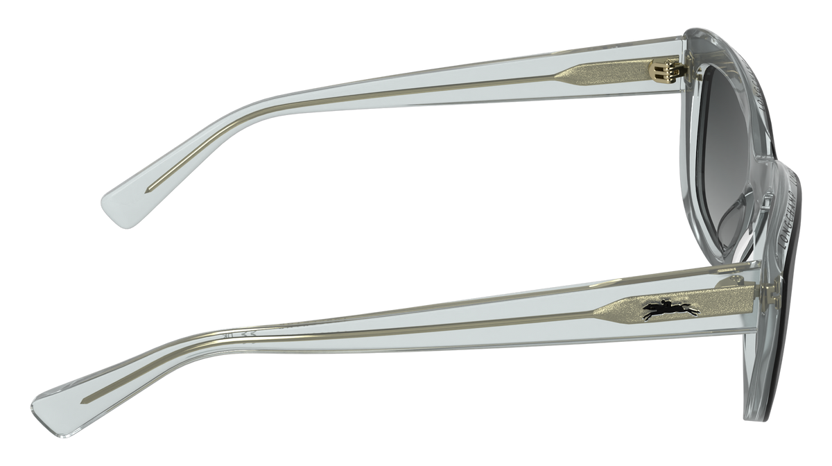 LONGCHAMP LO817S 18