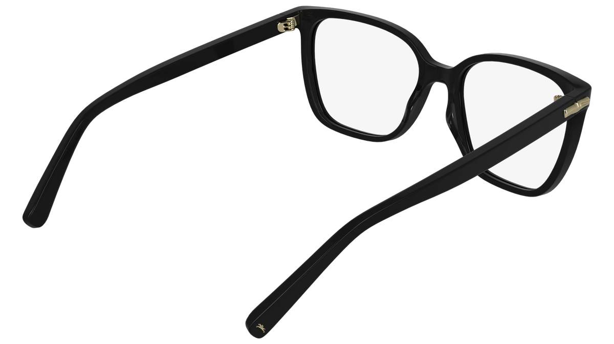 LONGCHAMP LO2808 1