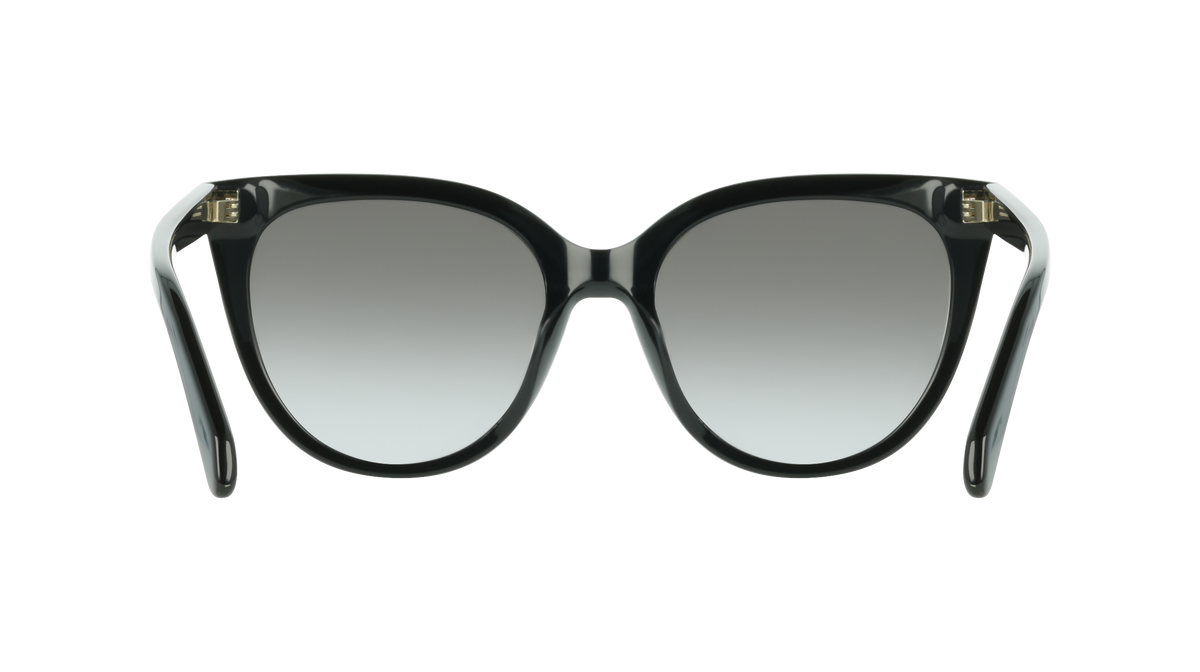 Ferragamo SF2101S 001