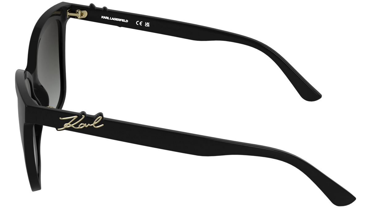 Karl Lagerfeld KL6223S 001