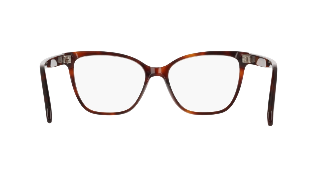 Ferragamo SF3062 240