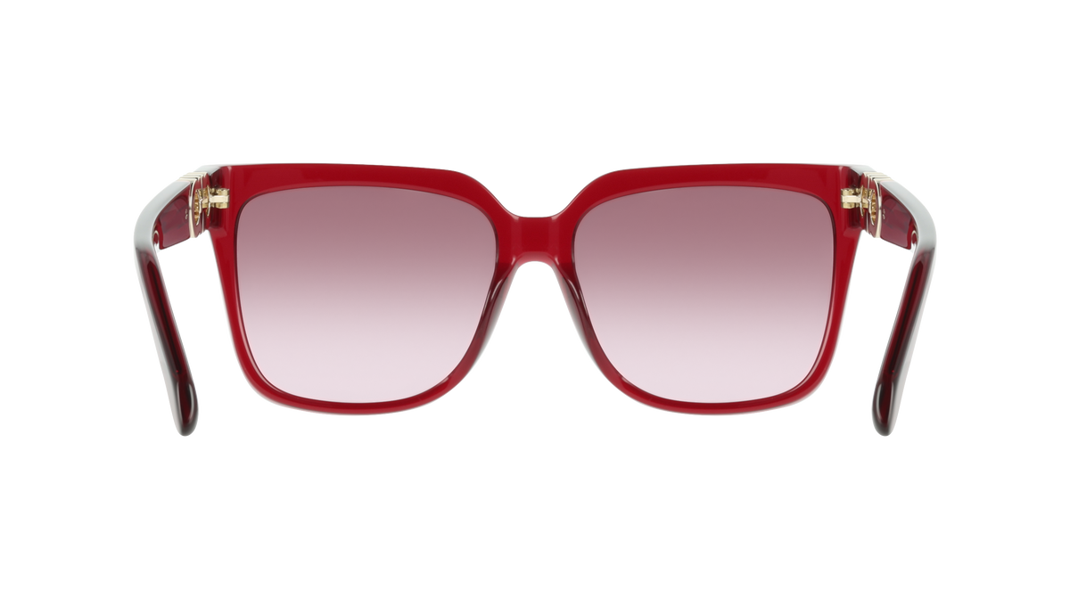 Ferragamo SF2109S 655