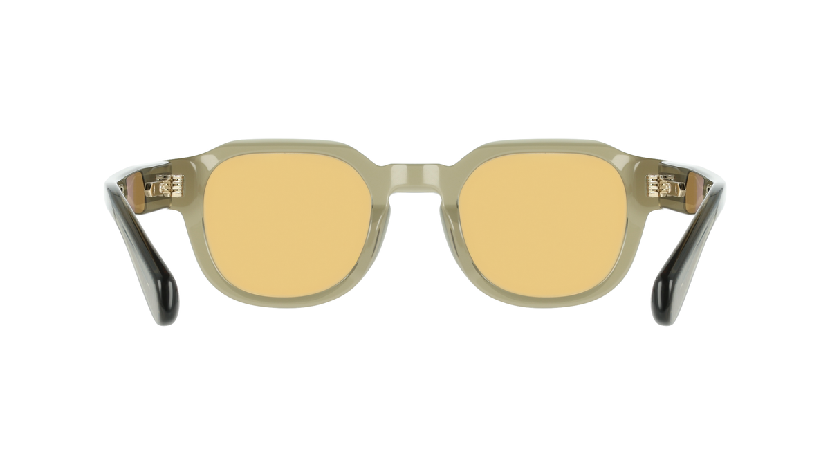 Ferragamo SF2146S 320