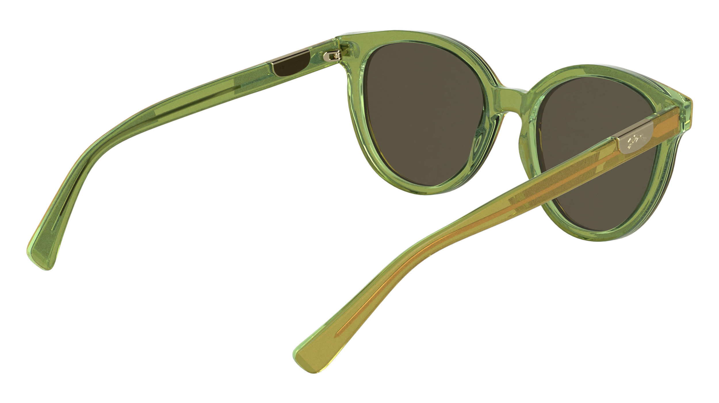 LONGCHAMP LO773S 317 Occhiali da sole LONGCHAMP 6
