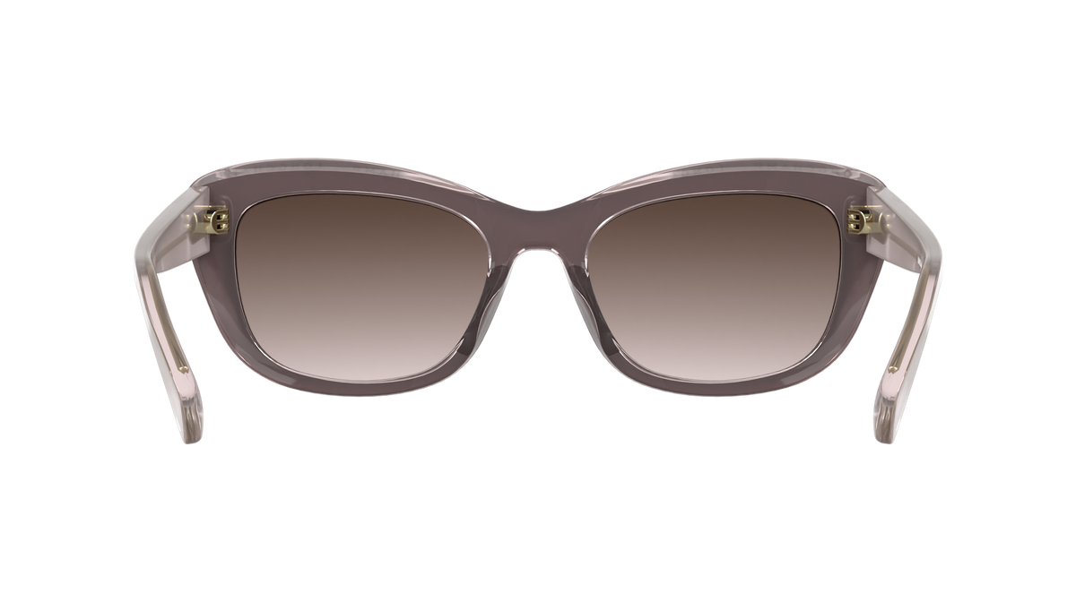 LONGCHAMP LO817S 623
