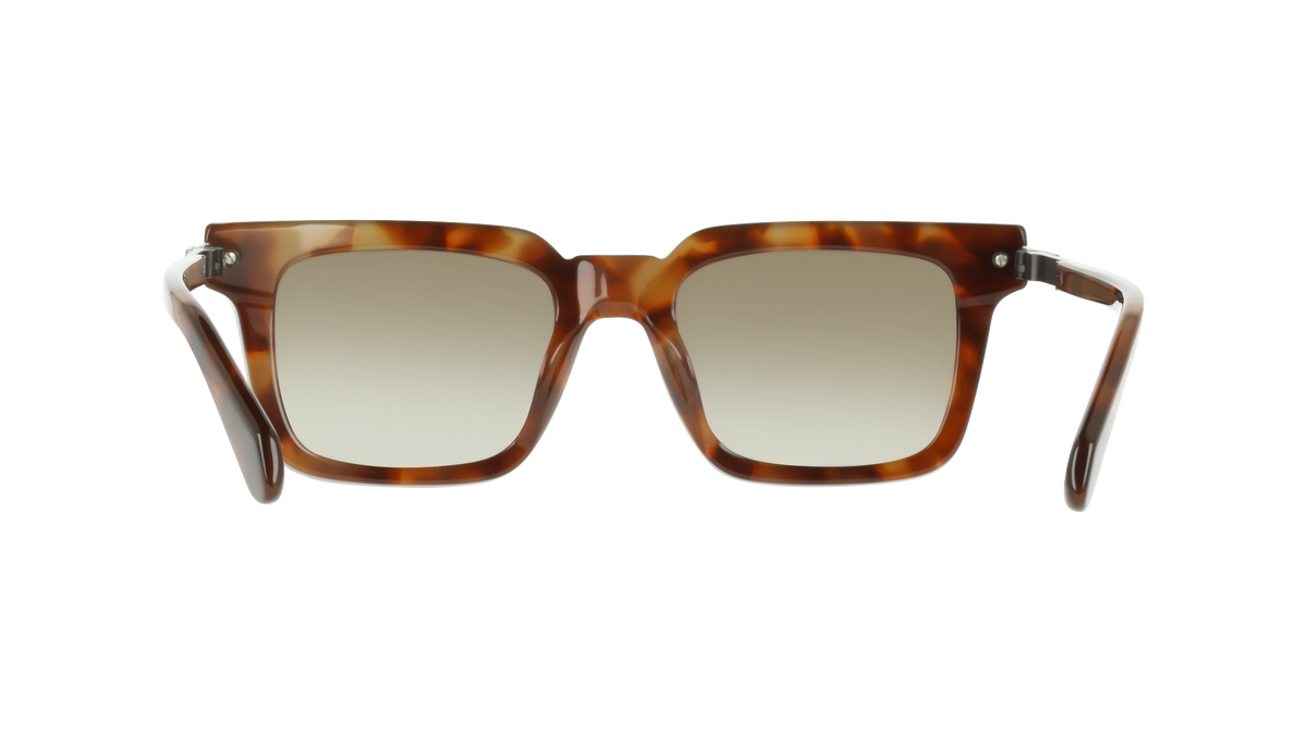 Ferragamo SF2103S 225