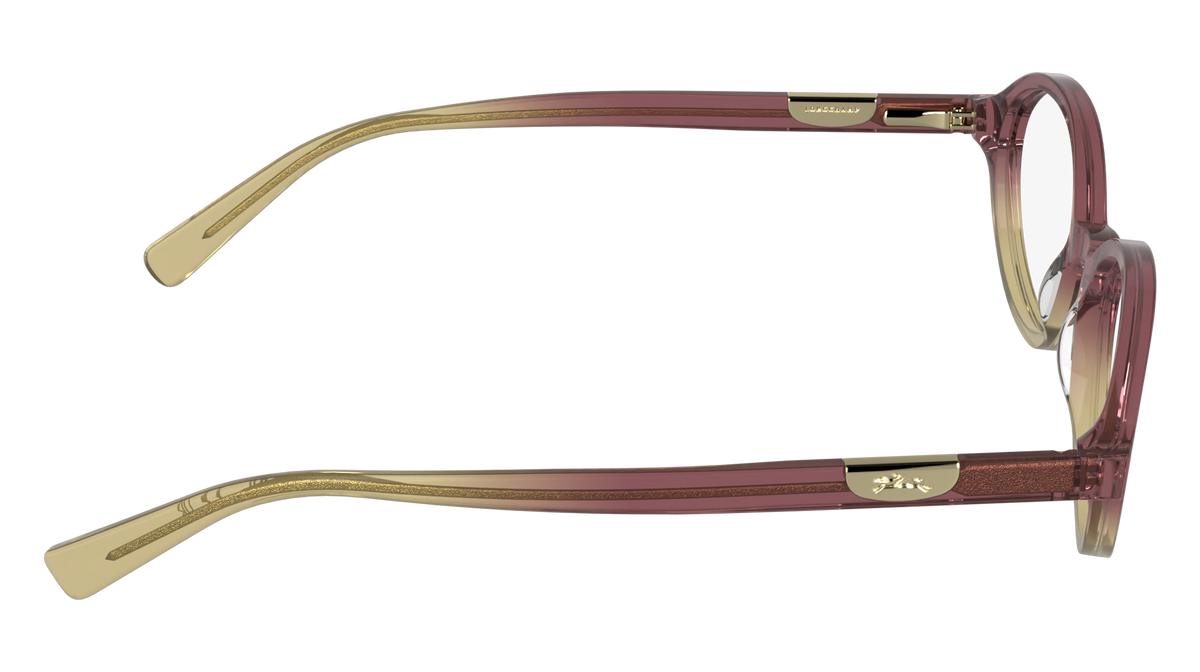 LONGCHAMP LO2811 513