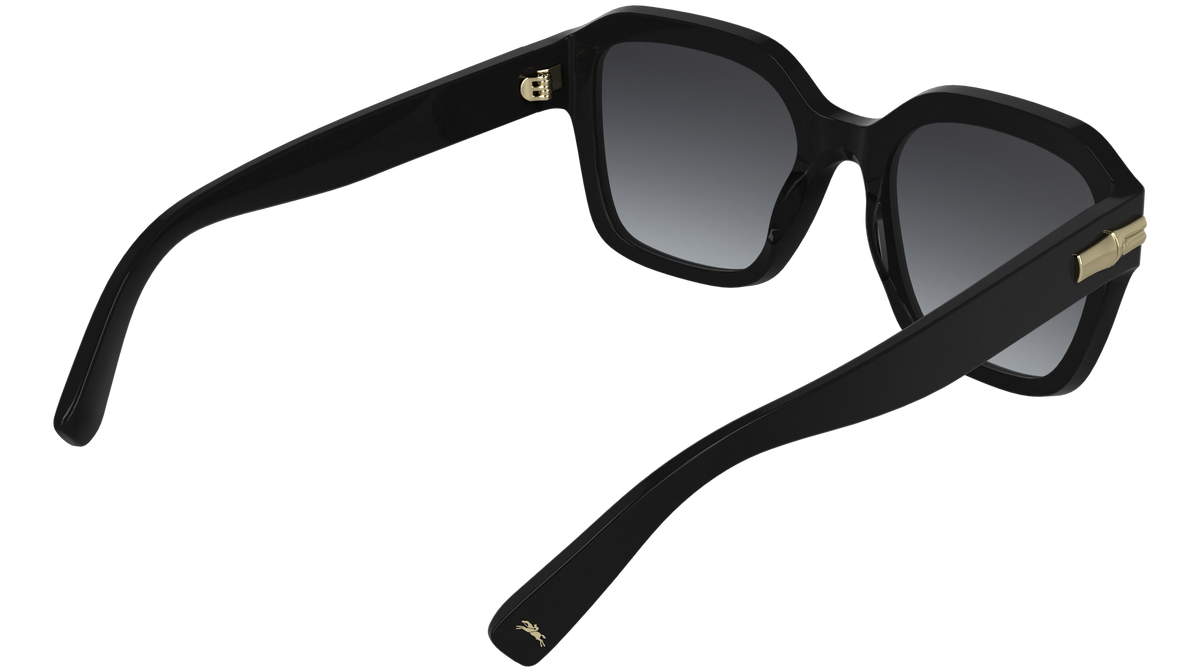 LONGCHAMP LO816S 1