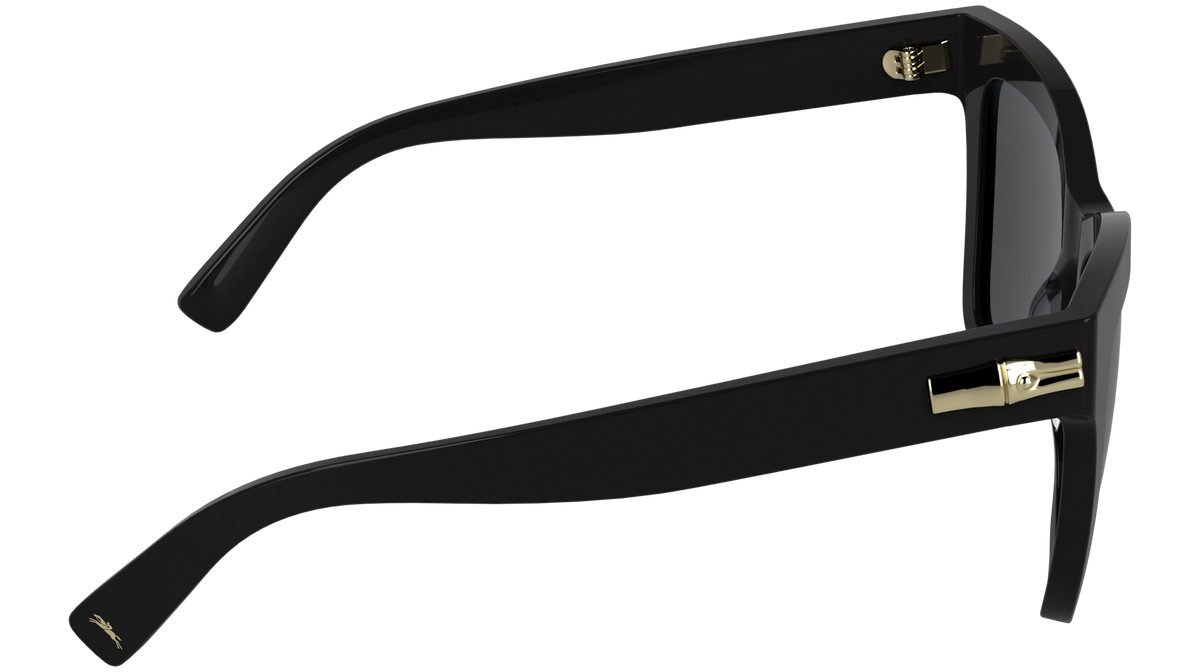 LONGCHAMP LO815S 1