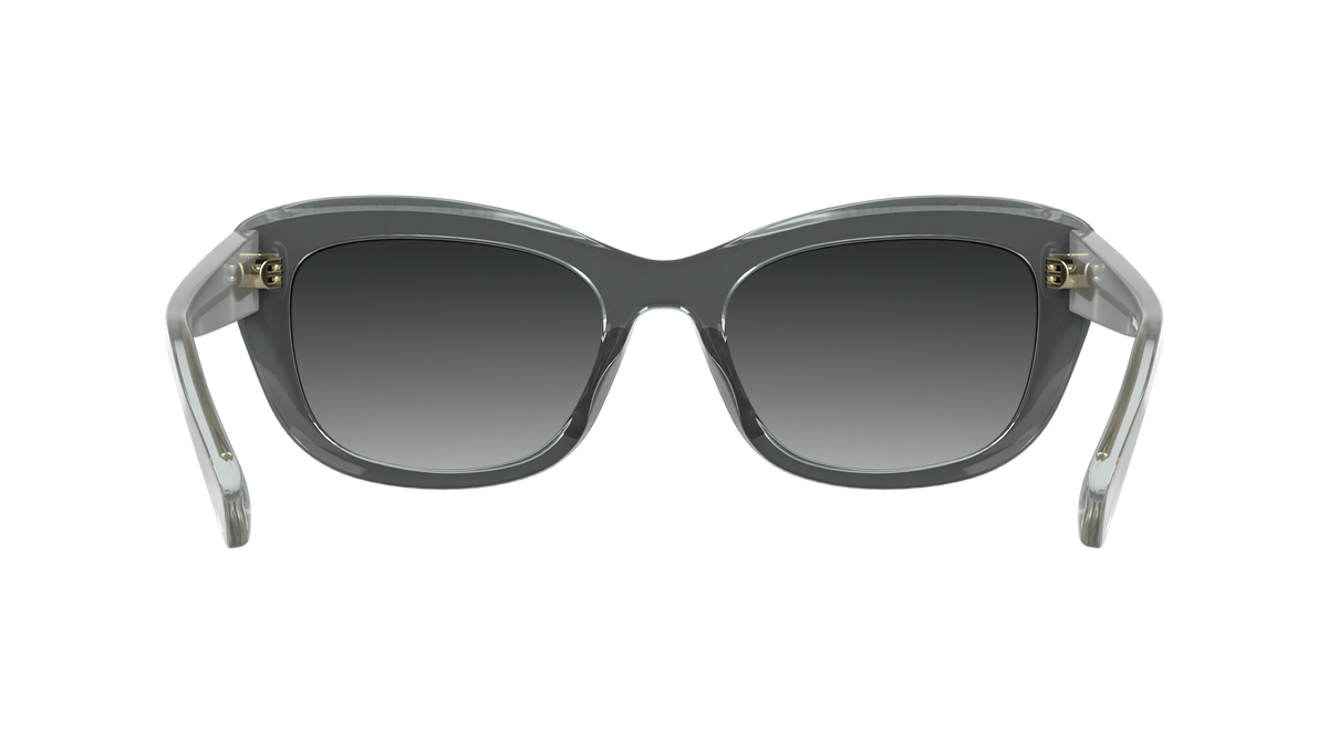 LONGCHAMP LO817S 18
